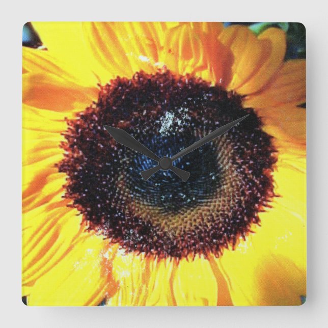 SUNTIME SQUARE WALL CLOCK (Front)