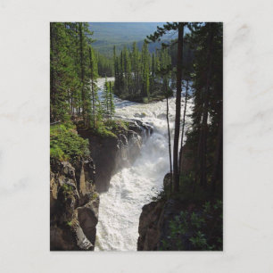 Sunwapta Falls Jasper Canada Landscape Postcard