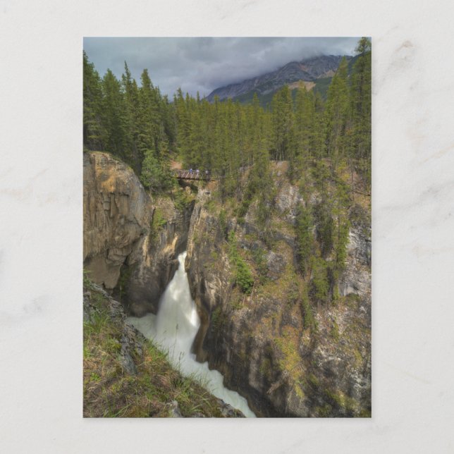 Sunwapta Falls Postcard (Front)