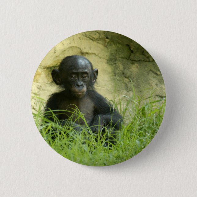 Sup? DArcy Evans Photo 6 Cm Round Badge (Front)