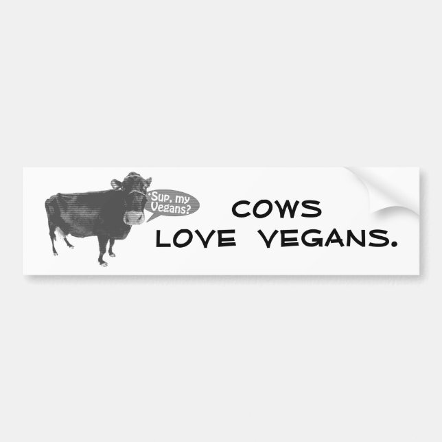 'sup my vegans bumper sticker (Front)