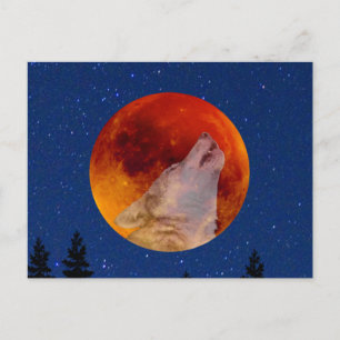 Super Blood Wolf Moon 2019 Postcard