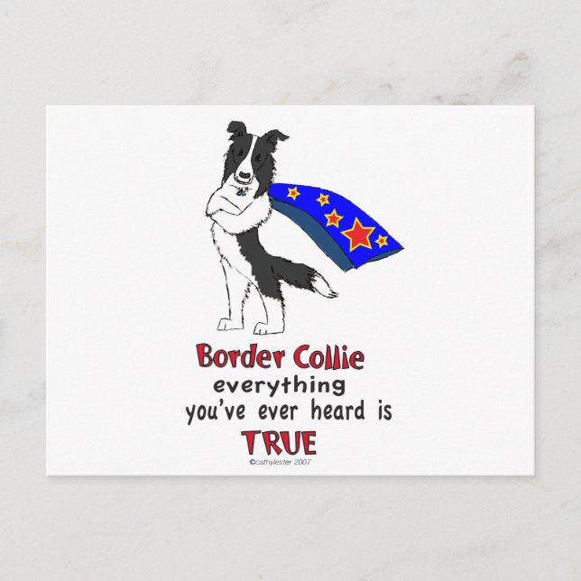 super Border Collie black Postcard (Front)