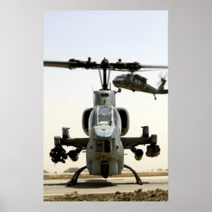Super Cobra and Black Hawk Poster