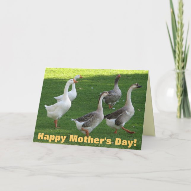 Super Cool Mother's Day Card! Card (Front)
