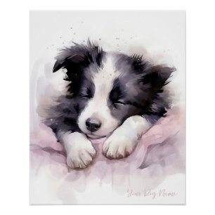 Super cute angel sleeping puppy Border Collie dog Poster