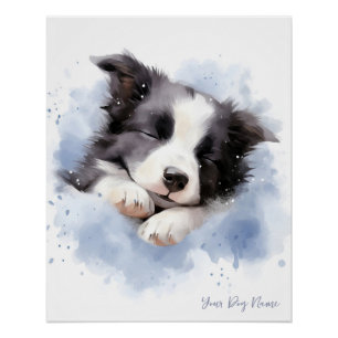 Super cute angel sleeping puppy Border Collie dog  Poster
