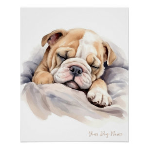 Super cute angel sleeping puppy Bulldog 003 - Wend Poster