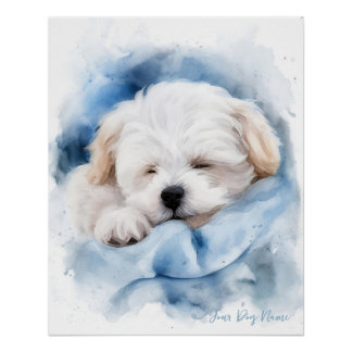 Super cute angel sleeping puppy Maltese Dog 004 Poster