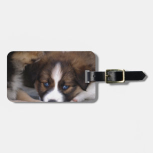 Super Cute Australian Shepherd Puppy Luggage Tag