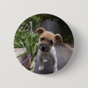 Super Cute Border Terrier puppy 6 Cm Round Badge