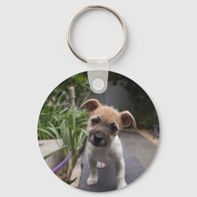 Super Cute Border Terrier puppy Key Ring (Front)