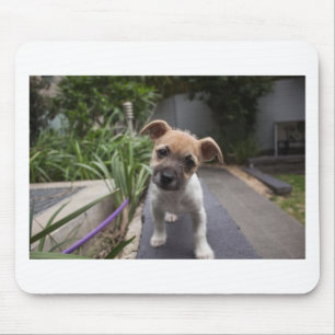 Super Cute Border Terrier puppy Mouse Pad