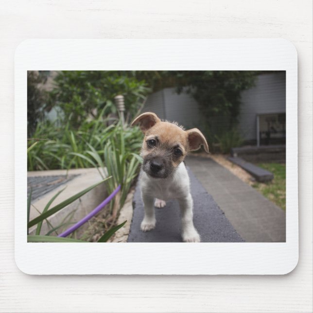 Super Cute Border Terrier puppy Mouse Pad (Front)