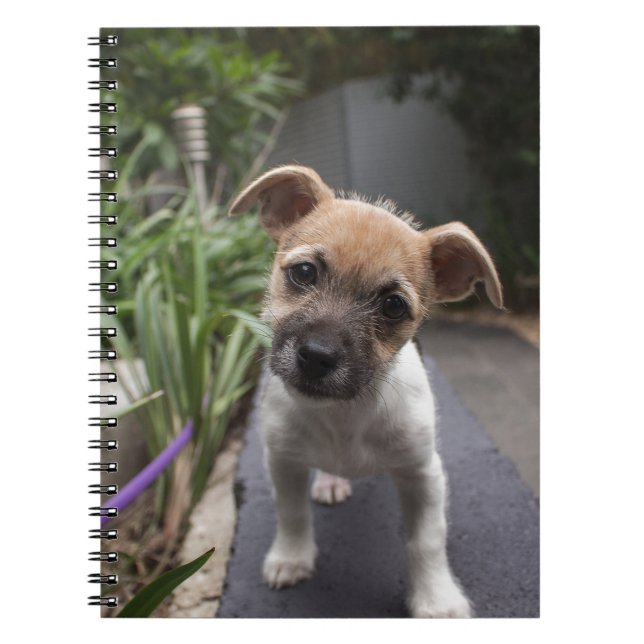 Super Cute Border Terrier puppy Spiral Notebook (Front)