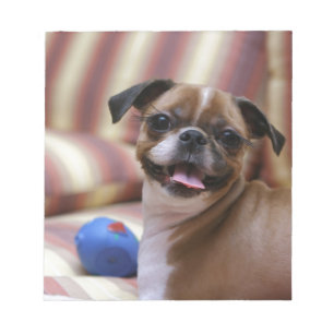 Super Cute dog with her favourite ball Notepad