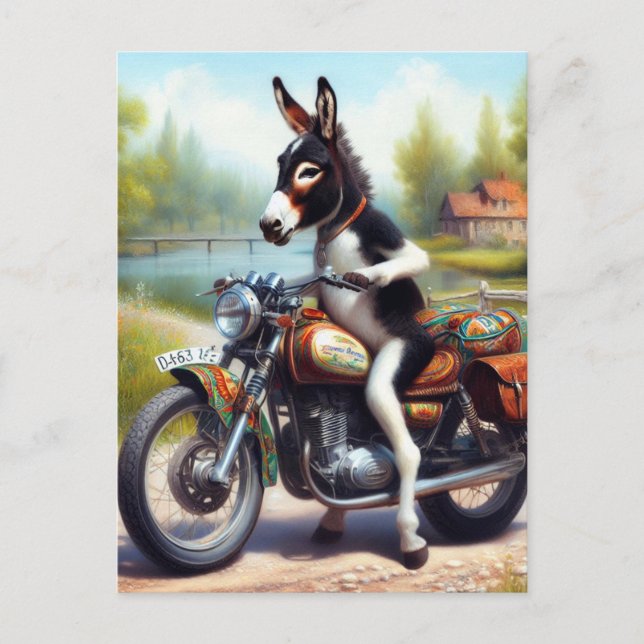 Super Cute Donkey Motorcycle Driver Postcard (Front)