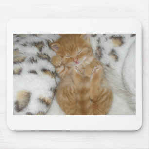 Super Cute Ginger Sleeping Kitten Mouse Pad