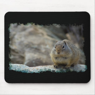 Super Cute Ground Squirrel Black Border Mouse Pad