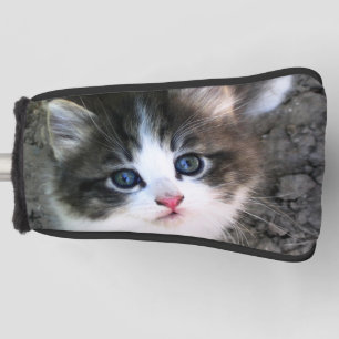 Super Cute Kitten Cat Photograph Golf Head Cover
