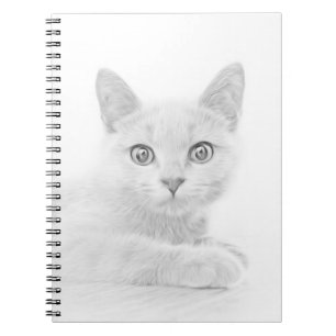 SUPER CUTE Kitten Cat Portrait Notebook