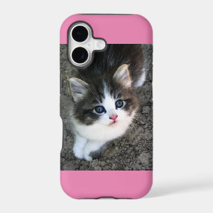SUPER CUTE Kitten Customisable