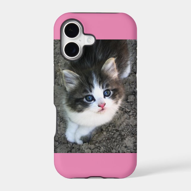 SUPER CUTE Kitten Customisable (Back)