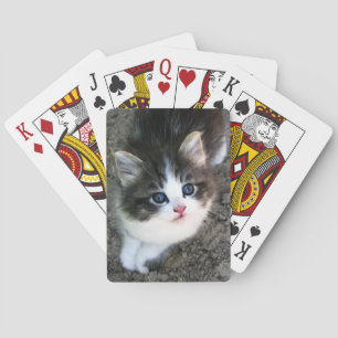 SUPER CUTE Kitten Playing Cards