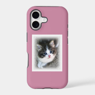 SUPER CUTE Kitten Portrait Photograph