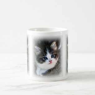 SUPER CUTE Kitten Portrait Photograph Coffee Mug