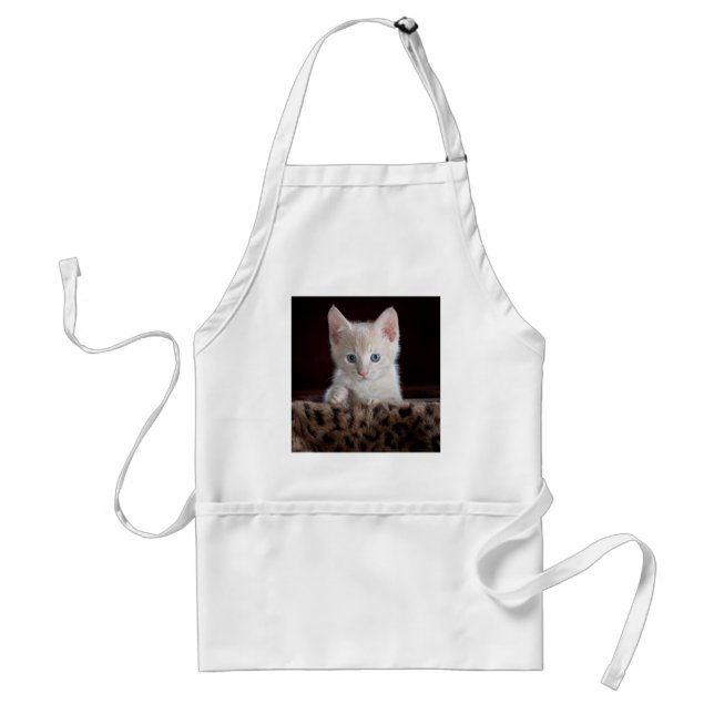 Super Cute Kitten with Beautiful Eyes Standard Apron (Front)