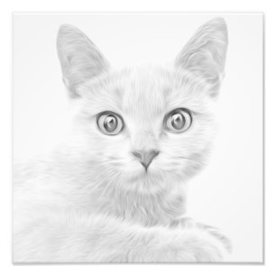 SUPER CUTE Kitty Portrait Photo Print