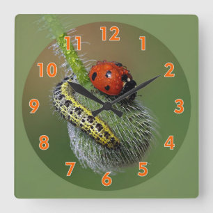Super Cute Lady Bug & Caterpillar Square Wall Clock