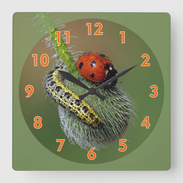Super Cute Lady Bug & Caterpillar  Square Wall Clock (Front)