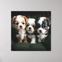 Super Cute Puppies on the Couch 2