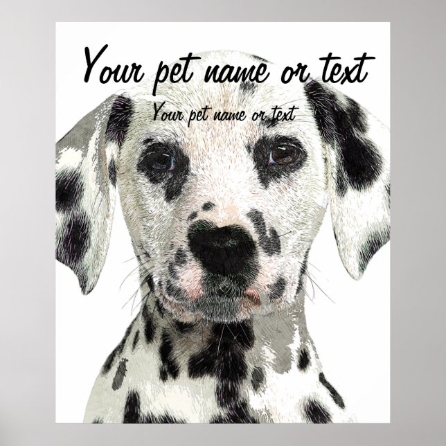 Super Cute, Puppy Dalmatian Dog Poster (Front)