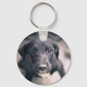 Super Cute Puppy Dog Key Ring