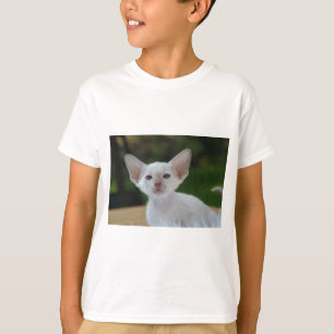 Super Cute Siamese Kitten T-Shirt
