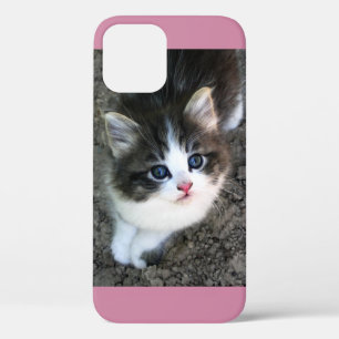SUPER CUTE Stray Kitten iPhone 12 Case