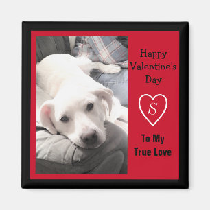 Super Cute Valentine's Day Red and Black Dog Magnet