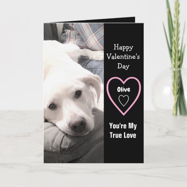 Super Cute Valentine's Day White Puppy Dog Black Card (Front)