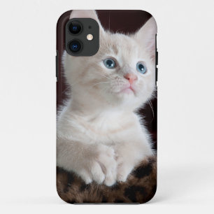 Super Cute White Kitten Case-Mate iPhone Case
