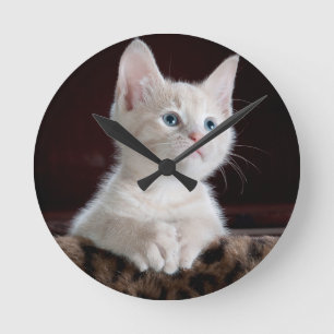 Super Cute White Kitten Round Clock