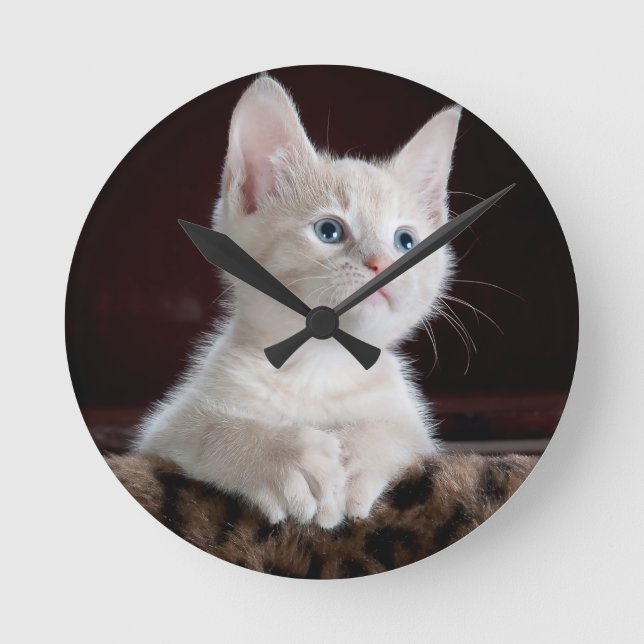 Super Cute White Kitten Round Clock (Front)