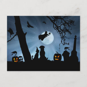 Super Cute Witch and Cat and Dog Halloween Postcard