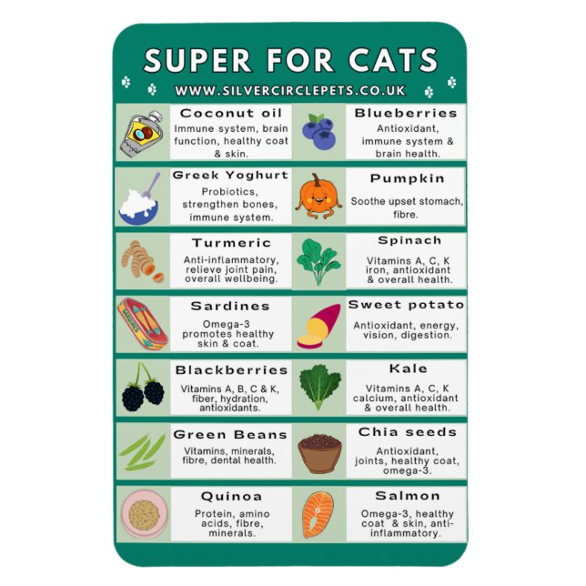 Super Foods for Cats Fridge Magnet (Vertical)
