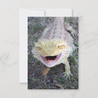 Super Happy Bearded Dragon