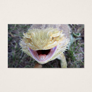 Super Happy Bearded Dragon