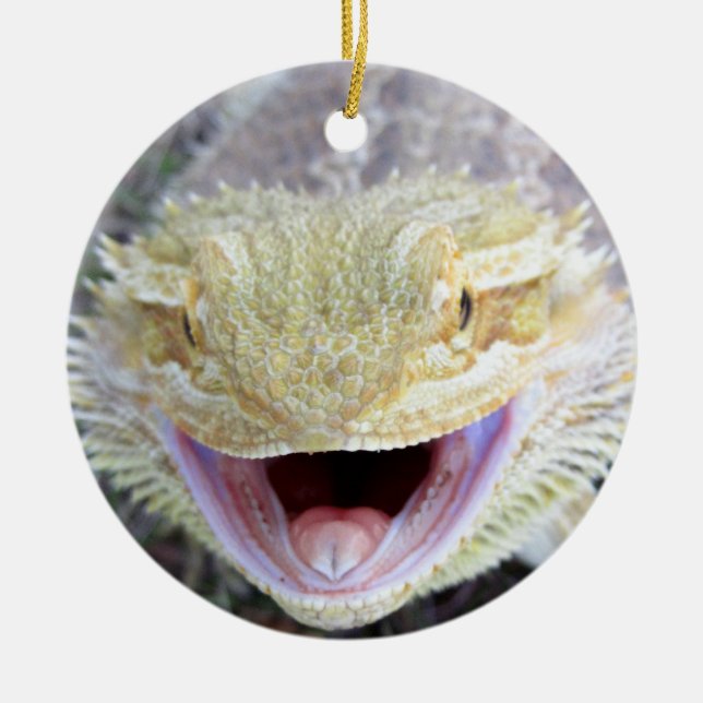 Super Happy Bearded Dragon Ceramic Tree Decoration (Front)