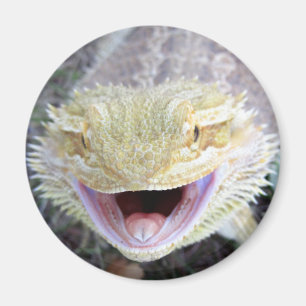 Super Happy Bearded Dragon Magnet